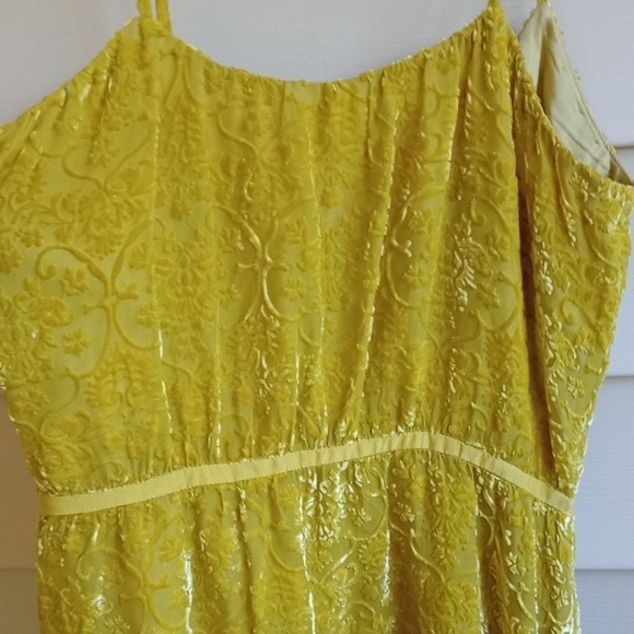 Antropologe Mustard Lace Mini Dress - Picture 11 of 16